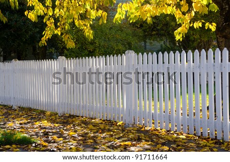 Dappled sun caresses a simple white picket fence running along a sidewalk strewn with gold and brown fall leaves. A symbol of the simplicity of living in a small town.