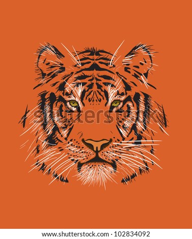 tiger 庫存矢量插圖 102834092 : shutterstock