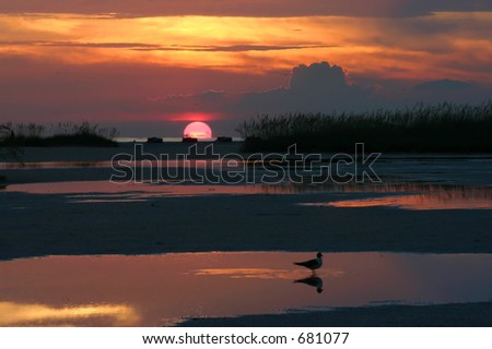 Sunset Reflections. Treasure Island Florida