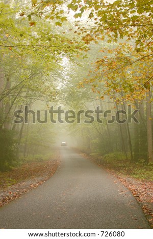 Foggy road. Roaring Forks Nature Trail,Great Smoky Mountains