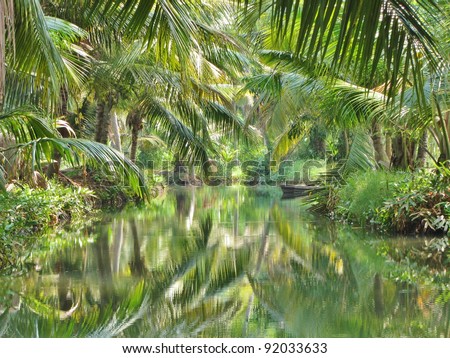 Reflection of coconut palms with palm fronds hanging in top of shot. boat is visible in the distance