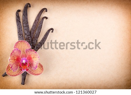 Vanilla pods with orchid flower on old vintage paper