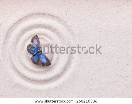 A blue vivid butterfly on a zen stone with circle patterns in the white grain sand