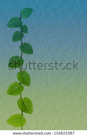 textured paper background with climbing fig leaves