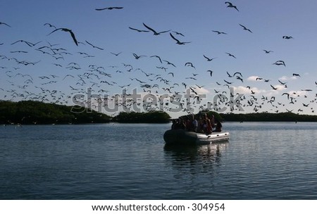 boat with birds overhead