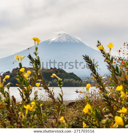 Mountain Fuji with flowers view of kawaguchiko lake, Japan.