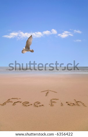 Free fish written in sand at the beach with a seagull flying past.