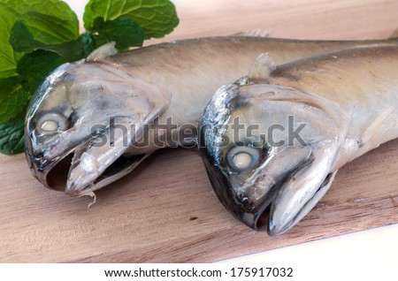 Fresh mackerel fish  wooden board  isolated on the white background.