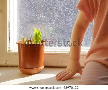 window with first spring sprouts and child in sunshine