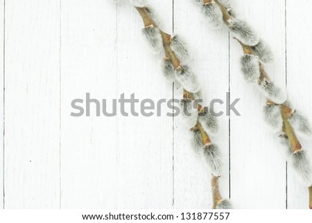 pussy willow twigs on white wood background, top view