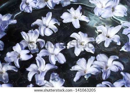 floating flowers