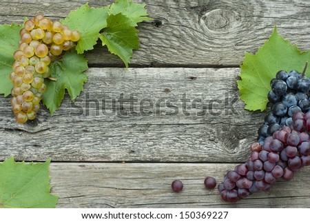 autumnal fruits frame, wooden background