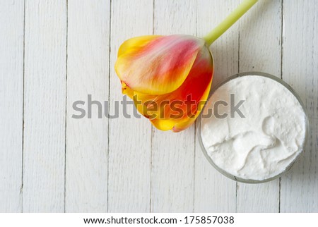 cream with tulip on white wooden