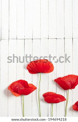 red poppy flowers on white wood table background
