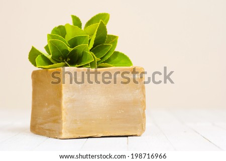 organic soap block with fresh herbal leaves