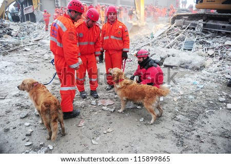 VAN, TURKEY - NOV 10: After the earthquake in Van, rescue teams are searching for earthquake victims with the help of rescue dogs. Van, Turkey. November 10, 2011