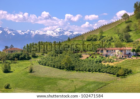 Rural houses on green hill and mountains with snowy peaks in Piedmont at spring, Italy.