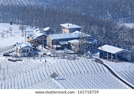 Few rural houses on the hill among trees and vineyards covered with snow in Piedmont, Northern Italy.