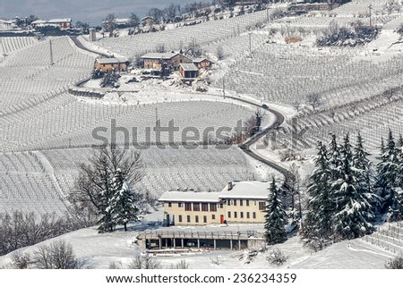 Rural house and narrow road among vineyards covered with snow in Piedmont, Northern Italy.