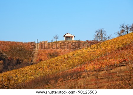 Beautiful multicolored vineyards on the hills of Piedmont at fall in Northern Italy.
