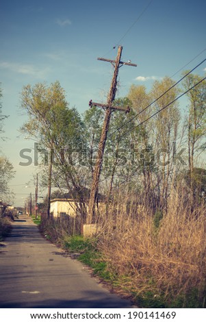 An old electricity pole is overgrown and taken back by nature when it was being shut down by hurricane Katrina.