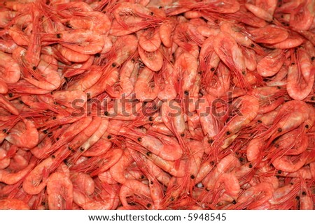 shrimp background
