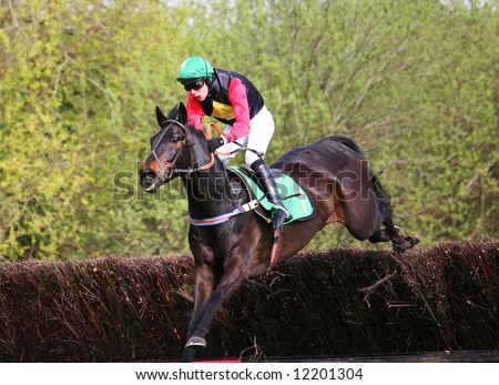 race horse and jockey jumping over fence