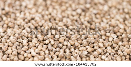 Heap of Coriander Seeds for background or texture use