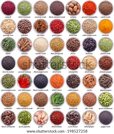 large collection of different spices and herbs isolated on white background