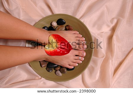Pedicured feet and tropical flower