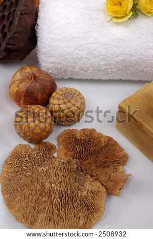 Dry mushroom, seeds, natural olive oil soap, and towel