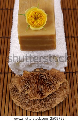 Dry mushroom, seeds, natural olive oil soap, and towel