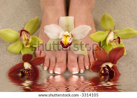 Feet with beautiful fresh orchids on sand with water reflection