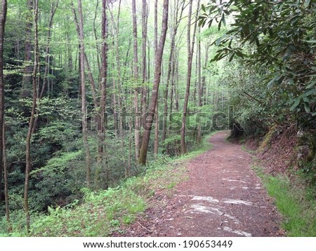 Bote Mountain trail in Great Smoky Mountains National Park