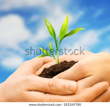 Human hands holding earth with plant sprout against blue sky