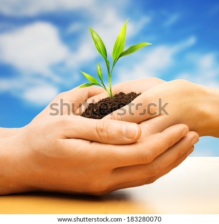 Human hands holding earth with plant sprout against blue sky