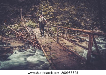 Hiker with hiking poles  walking over wooden bridge in a forest