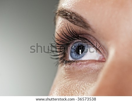 Blue eye on grey background (shallow DoF)