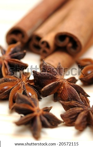 Anise and cinnamon spices