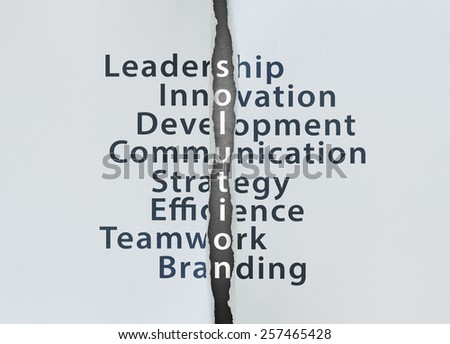 Solution Concept with leadership, innovation, development, communication, strategy, efficience, teamwork, branding