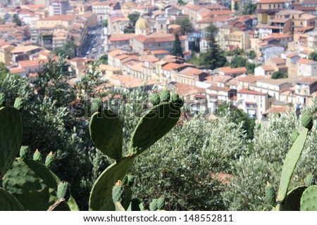 Prickly Pear and South Italy City