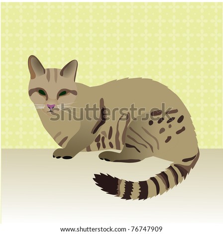 vector cat illustration