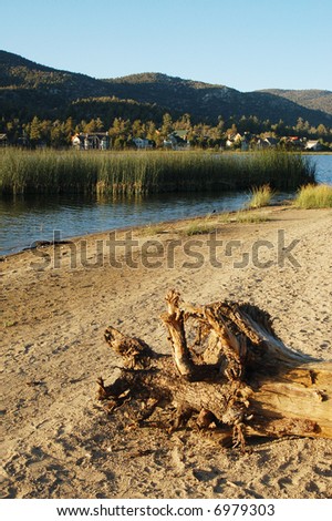 Old log on lake shore; Big Bear Lake, California