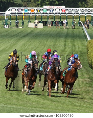 SARATOGA SPRINGS - JUL 21: The field storms down the turf course in a maiden race on Jul 21, 2012 at Saratoga Race Course in Saratoga Springs, NY. Eventual winner is Joel Rosario (blue cap) and 