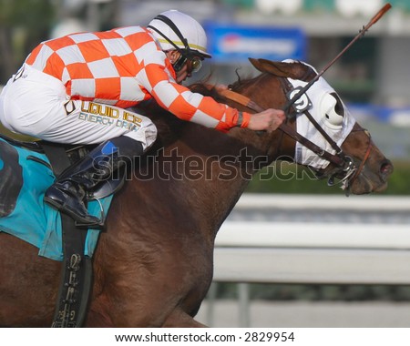 Close-Up of Racing Horse and Jockey
