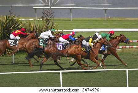 Horses Racing on Green Grass --2