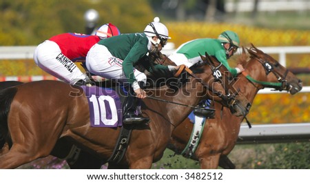 Three Racing Jockeys and Horses