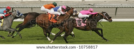 Horizontal view of jockeys battling for the lead in a thoroughbred horse race on grass.