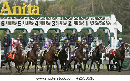 ARCADIA, CA - 7 FEB 09: Gate break for the Robert B. Lewis Stakes at Santa Anita Park on Feb 7, 2009 in Arcadia, CA. Winner Pioneer of the Nile is 2nd from right. The 2010 stakes are on Feb 6.