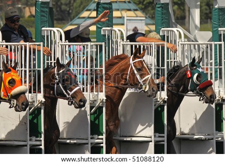 ARCADIA, CA - MAR 20: Horses break from the gate in an allowance race at Santa Anita Park on Mar 20, 2010 in Arcadia, CA.